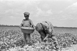 russell-lee-southeast-missouri-farms-children-of-sharecropper-picking-string-beans-1938