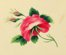 267px-Sarah_Mapps_Douglass_flower_Cassey-album-p-9764-p9_lg_crop